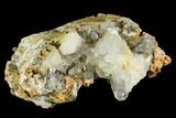 Brookite On Chlorite Quartz Crystals - Baluchistan, Pakistan #111343-1